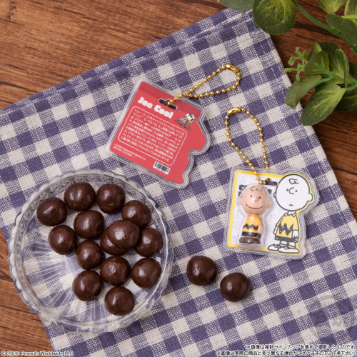 PEANUTS SNOOPY パッケージチャーム チョコボーロ 10個入りBOX バンダイ 食玩