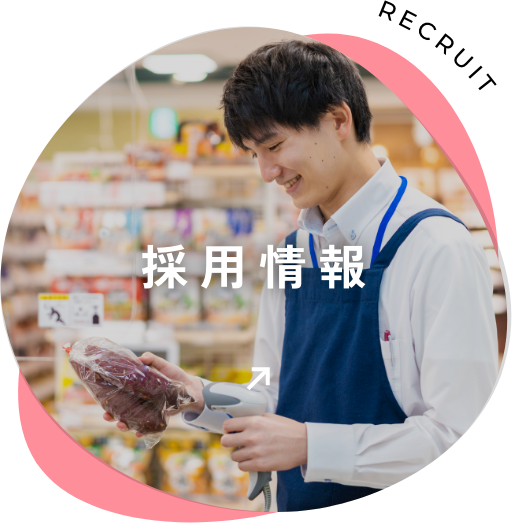 採用情報